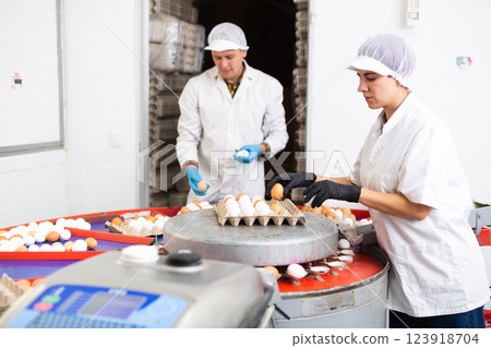 Hispanic female poultry farm worker sorting chicken eggs Hispanic female poultry farm worker sorting chicken eggs 123918704