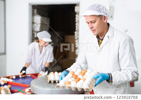 Chicken farm employee sorts and labels chicken eggs 123918708
