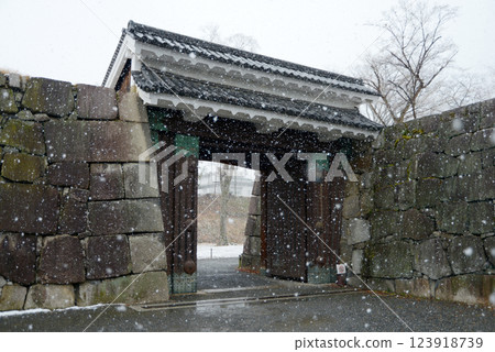 Snowy Nijo Castle South Central Gate, Nakagyo Ward, Kyoto City 123918739