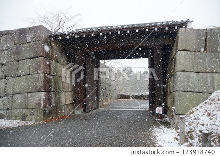 Snowy Nijo Castle South Central Gate, Nakagyo Ward, Kyoto City Snowy Nijo Castle South Central Gate, Nakagyo Ward, Kyoto City 123918740