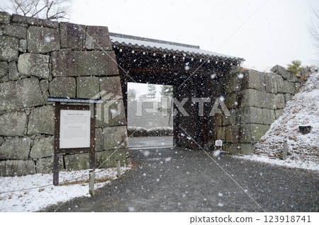 Snowy Nijo Castle South Central Gate, Nakagyo Ward, Kyoto City Snowy Nijo Castle South Central Gate, Nakagyo Ward, Kyoto City 123918741