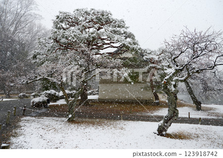 Snow-covered Nijo Castle: Storehouse beside the inner moat, Nakagyo Ward, Kyoto City 123918742
