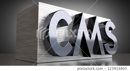 CMS, content management system - metal typographical concept - 3D illustration 123918805