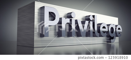 Privilege - metal typographical concept - 3D illustration 123918910
