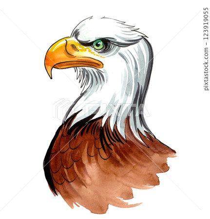 Eagle head bird. Hand drawn watercolour illustration 123919055