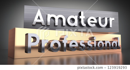 Amateur, professional - words on metal blocks - 3D illustration 123919293