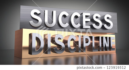 Success, discipline - words on metal blocks - 3D illustration 123919312