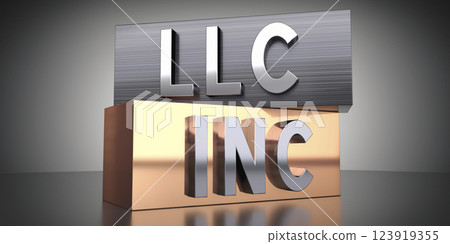 LLC, INC - words on metal blocks - 3D illustration LLC, INC - words on metal blocks - 3D illustration 123919355