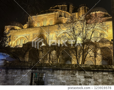 Illuminated Blue Mosque at night, Istanbul, Turkey Illuminated Blue Mosque at night, Istanbul, Turkey 123919378