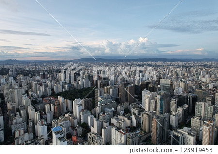 Vast urban landscape of Sao Paulo Brazil showcasing city skyline and nature Vast urban landscape of Sao Paulo Brazil showcasing city skyline and nature 123919453