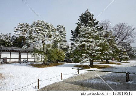 白雪皚皚的二條城 - 城堡內的降雪 - 京都市中京區 白雪皚皚的二條城 - 城堡內的降雪 - 京都市中京區 123919512