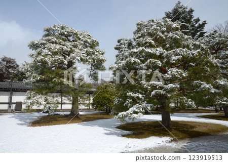 Snowy Nijo Castle - Snowfall inside the castle - Nakagyo Ward, Kyoto City 123919513