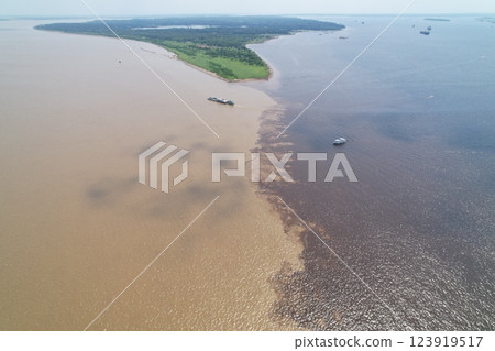 River meeting land at the confluence of water and vegetation in the Amazon 123919517