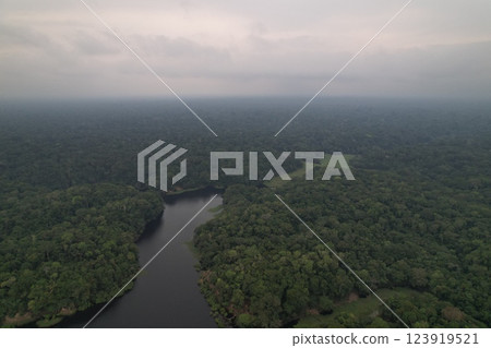 Lush rainforest and winding river in a remote wilderness area 123919521