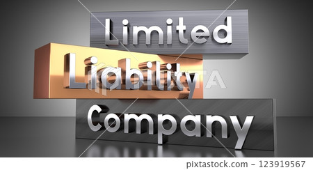 Limited liability company, LLC - words on metal blocks - 3D illustration Limited liability company, LLC - words on metal blocks - 3D illustration 123919567