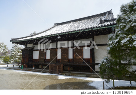 Snow-covered Nijo Castle, Ninomaru Palace, Nakagyo Ward, Kyoto City 123919694