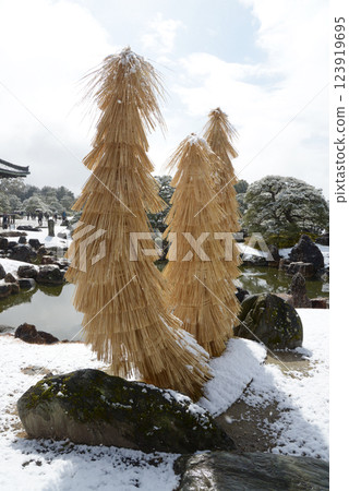 Snowy Nijo Castle Ninomaru Garden, Nakagyo Ward, Kyoto City 123919695