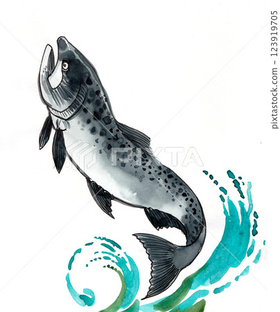 Jumping salmon fish. Hand drawn watercolour illustration Jumping salmon fish. Hand drawn watercolour illustration 123919705