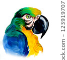 Parrot bird head. Hand drawn watercolour illustration 123919707