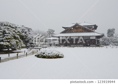 Snowy Nijo Castle, Honmaru Gotsunegoten, Nakagyo Ward, Kyoto City 123919944