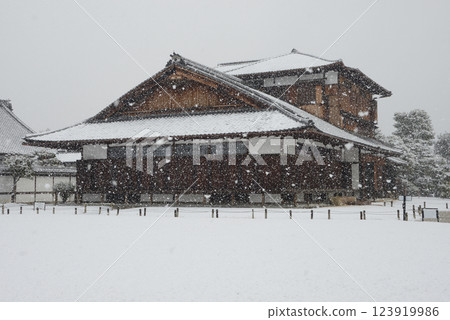 京都市中京區本丸禦宿御苑雪之二條城 123919986