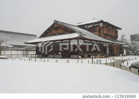 京都市中京區本丸禦宿御苑雪之二條城 123919988