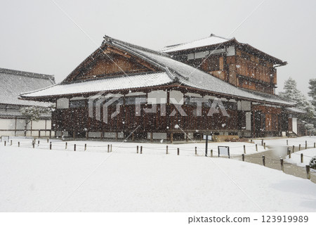 京都市中京區本丸禦宿御苑雪之二條城 123919989