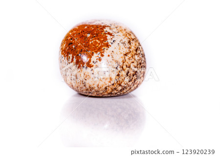 Macro mineral rock jasper landscape sandy on white background Macro mineral rock jasper landscape sandy on white background 123920239