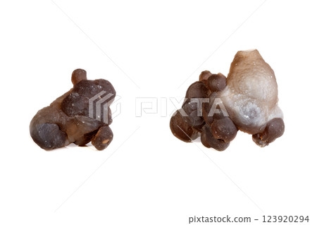 Macro mineral stone Chalcedony, Chalcedony screed on a white background 123920294