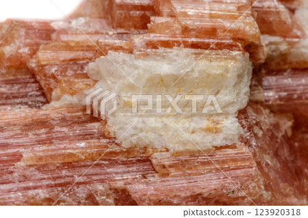Macro mineral stone Tourmaline in the breed a white background 123920318