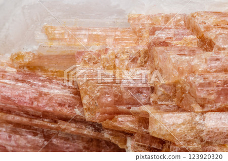 Macro mineral stone Tourmaline in the breed a white background Macro mineral stone Tourmaline in the breed a white background 123920320