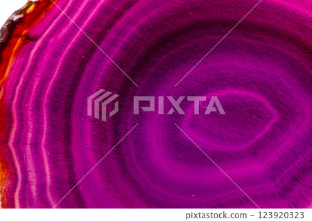Macro mineral stone Purple Agate breed a white background 123920323