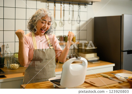 Happy mature woman preparing a delicious breakfast using a sandwich maker in a kitchen Happy mature woman preparing a delicious breakfast using a sandwich maker in a kitchen 123920803