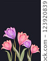 invatation/postcard of hand drawing tulips 123920839