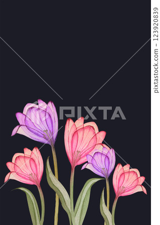 invatation/postcard of hand drawing tulips 123920839
