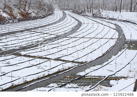 安曇野雪野大王山葵農場 123922486