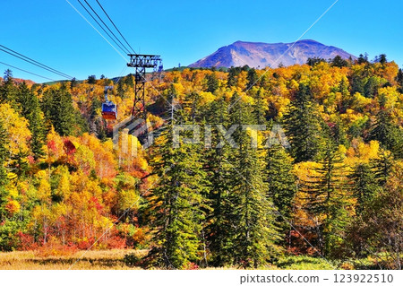 大雪山山脈旭岳和旭岳索道的壯麗秋葉 123922510