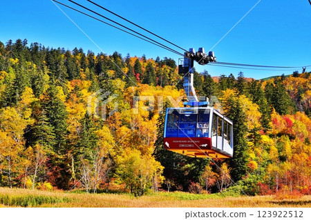大雪山山脈旭岳和旭岳索道的壯麗秋葉 123922512