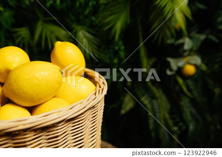 Fresh lemons in the basket.  123922946
