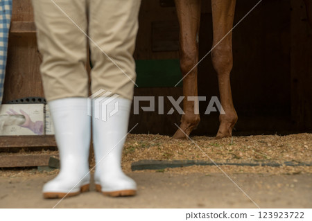 horse, feet, paw 123923722