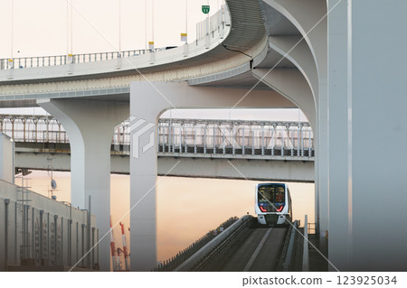 夕陽下的百合海鷗線穿越彩虹橋 123925034