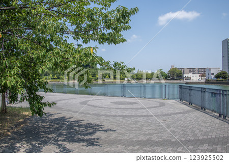 Tomioka Namiki Funadamari Park, Tomioka Higashi, Kanazawa Ward, Yokohama City, Kanagawa Prefecture 123925502