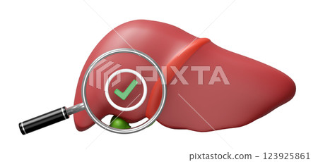 3d realistic human liver with magnifying glass, check mark isolated. check liver health concept, 3d illustration render 123925861
