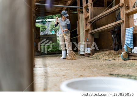 horse, female, lady 123926056