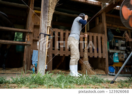 horse, female, lady 123926068