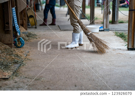 打掃 馬 馬兒 123926070