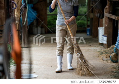 horse, female, females 123926072