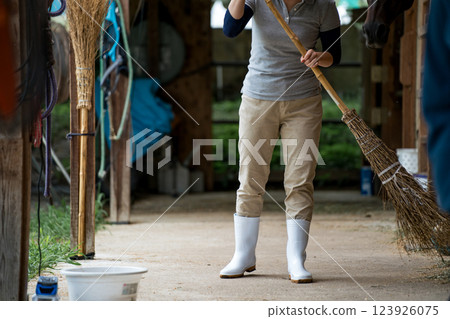 horse, female, females 123926075