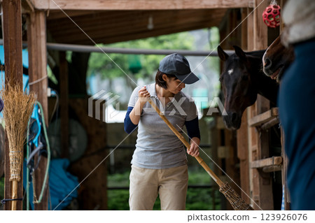 horse, female, females 123926076