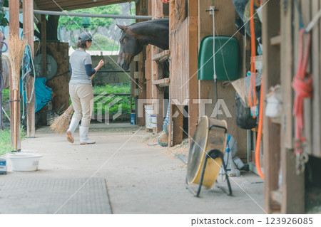 horse, female, lady 123926085